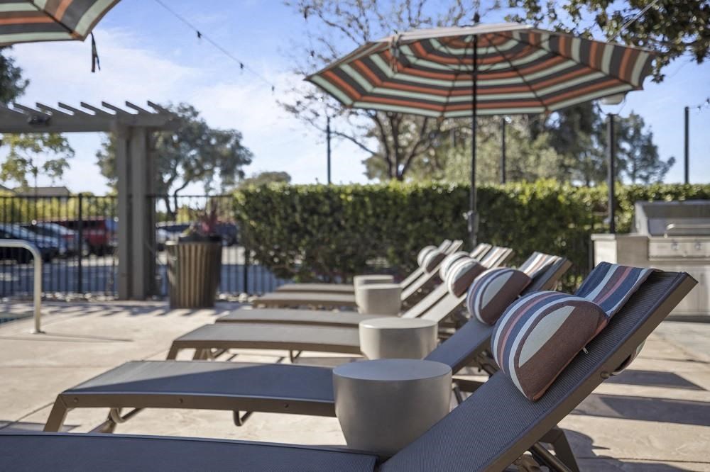 View at Marin pool lounge chairs