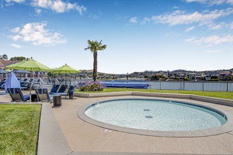 A round pool with a palm tree in the background.