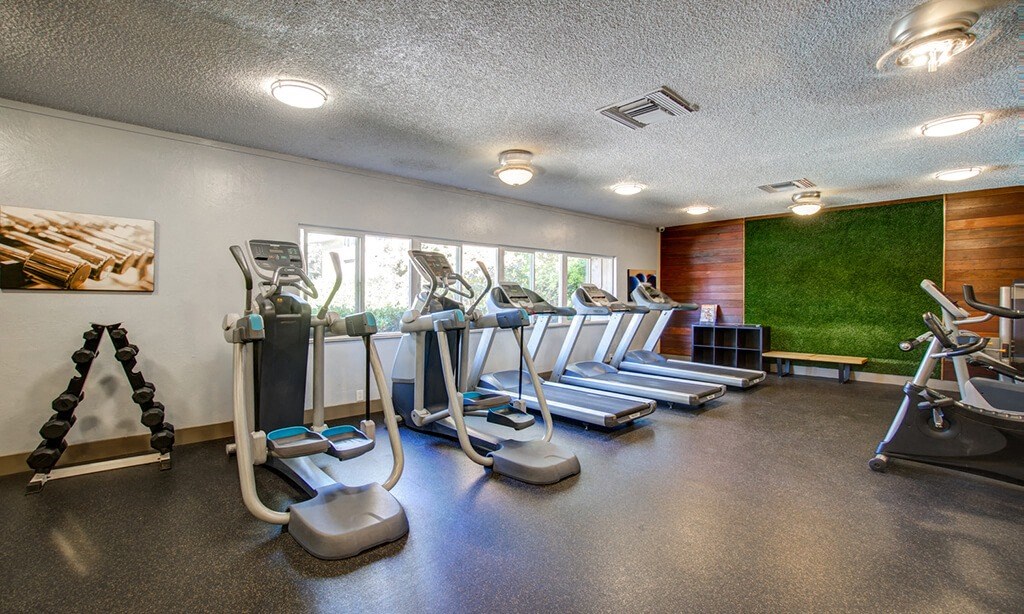 the gym has cardio equipment and a grass wall