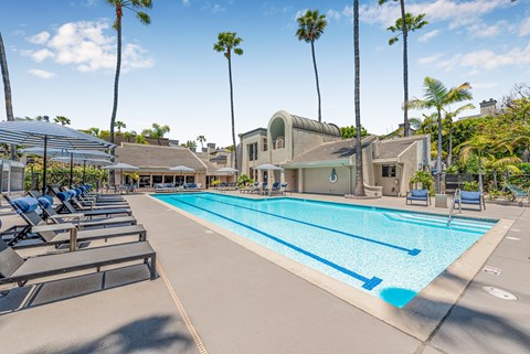 A large swimming pool surrounded by palm trees and sun loungers.