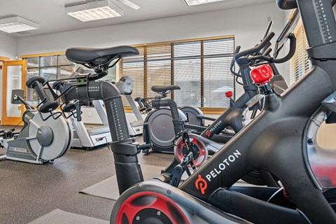 a gym with various exercise bikes and ellipticals