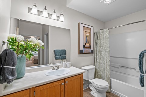 a bathroom with a sink and a toilet and a shower