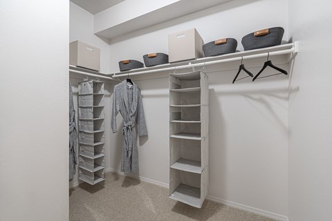 a walk in closet in a bedroom with shelves and a hanging closet organizer