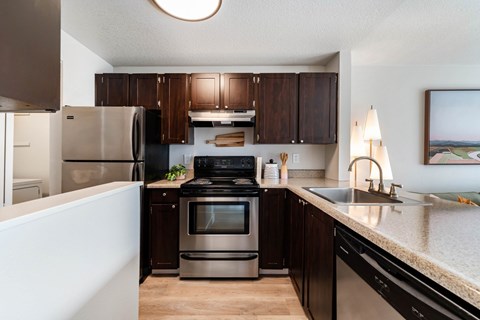 A modern kitchen with dark wood cabinets and stainless steel appliances.
