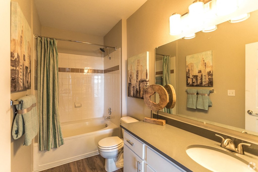 a bathroom with a shower toilet and sink and a mirror