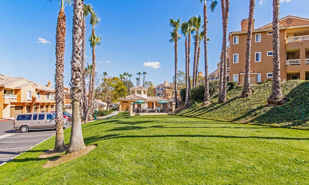 a grassy area with palm trees and a parking lot