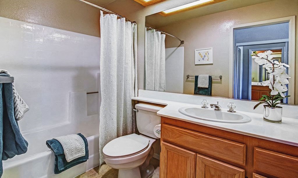 a bathroom with a toilet and a sink and a mirror