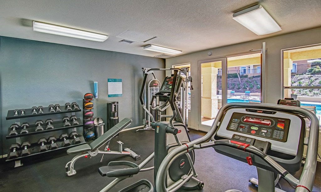 the gym is equipped with cardio equipment and weights