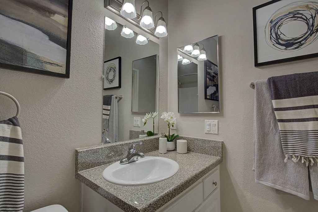 a bathroom with a sink and a mirror