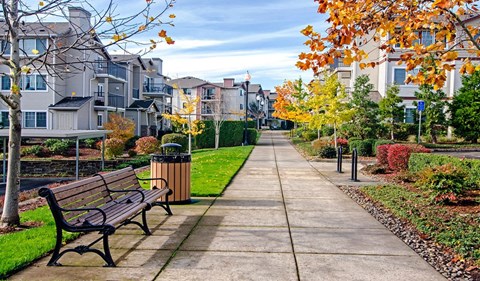 a park bench on a sidewalk in front of houses