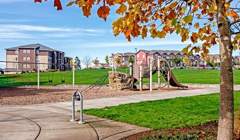 a playground in a park with buildings in the background