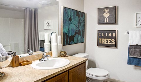 a bathroom with a sink toilet and a mirror