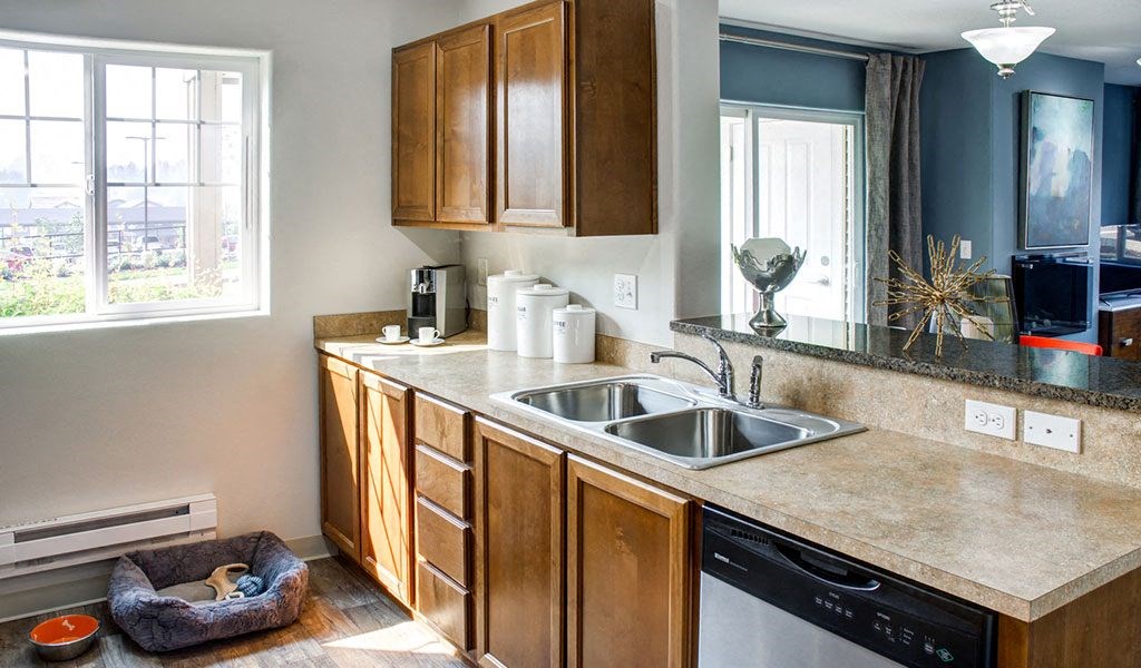 a kitchen with a sink and a window