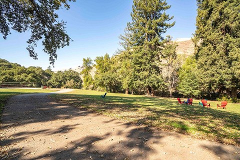 a park with benches and trees and a dirt road