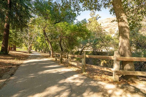 a dirt road with trees and a wooden fence