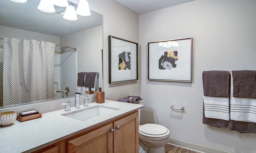 a bathroom with a sink and a toilet and a mirror