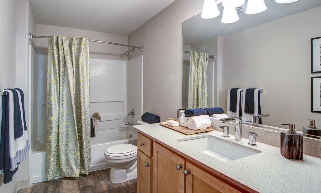 a bathroom with a sink and a toilet