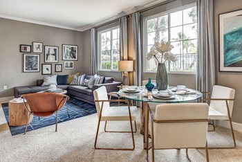 Lots of natural light in apartment Lots of natural light in apartment - Photo Gallery 3