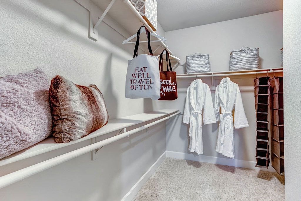 Spacious walk in closet