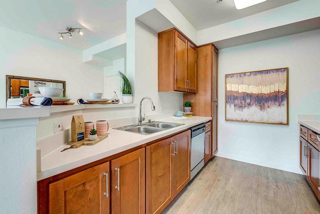 Deluxe Kitchens with Stainless Steel Appliances and CaesarStone Countertops