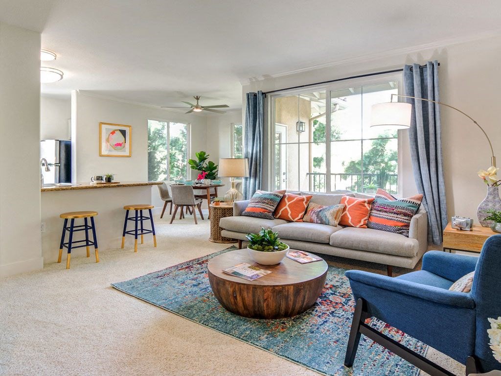 Lots of natural light in apartment