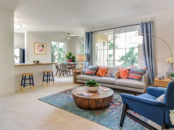 Lots of natural light in apartment Lots of natural light in apartment - Photo Gallery 4