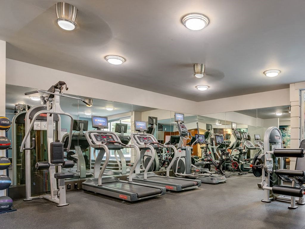 Fitness center- cardio machines, weighted machines, free weights