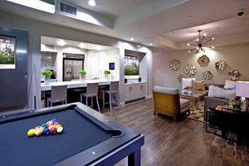 Clubhouse Pool Table
