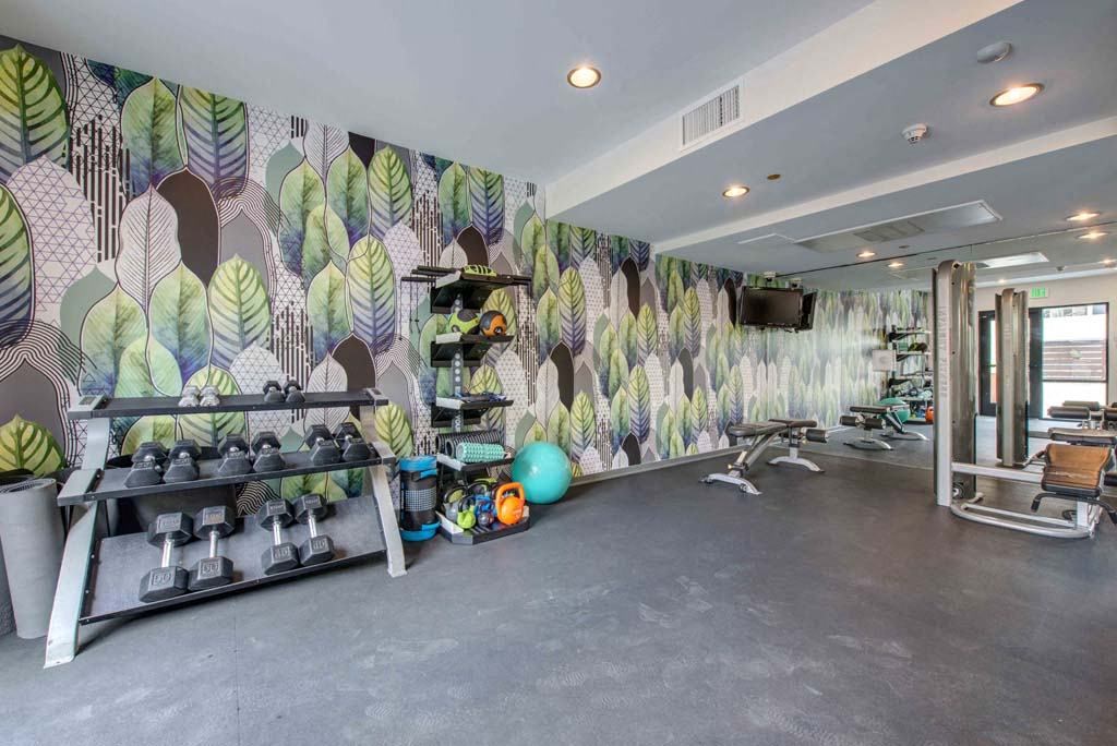 the gym in the home of person