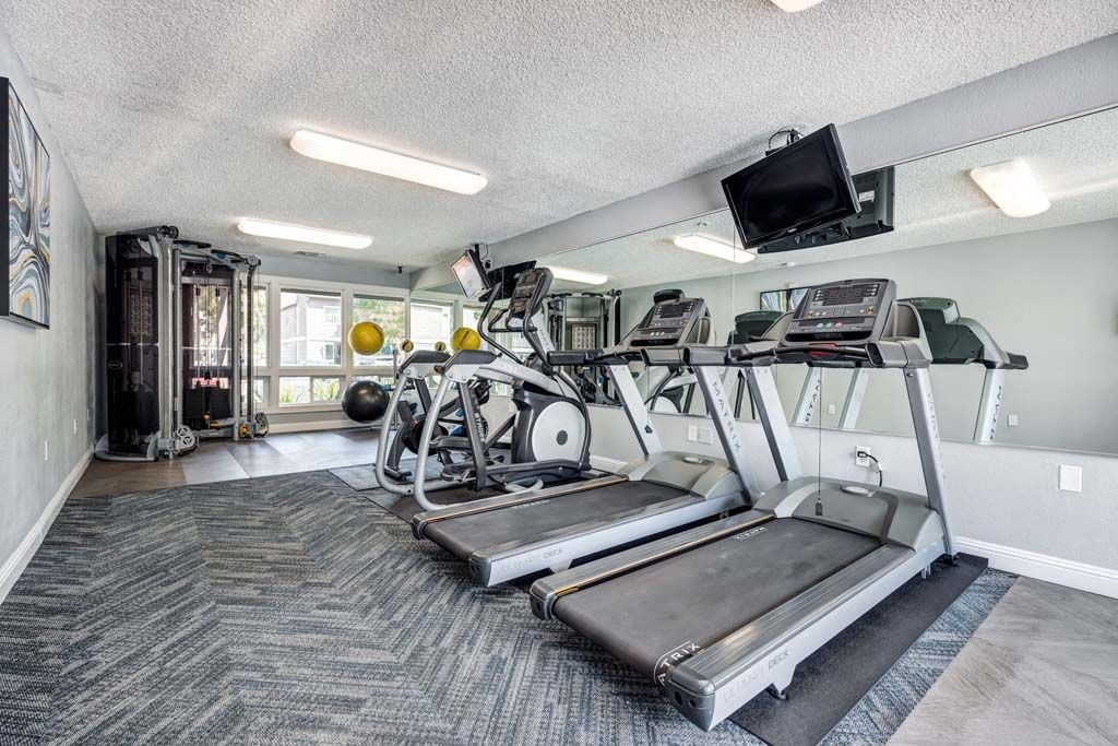 the gym is equipped with cardio equipment and a flat screen tv