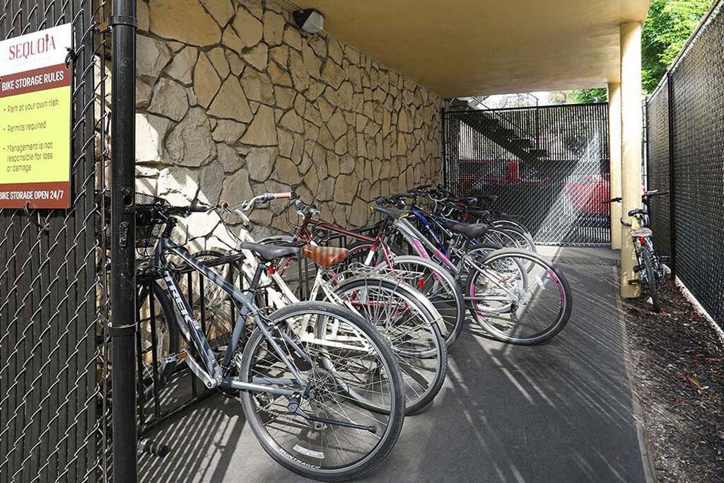 Bicycle Storage