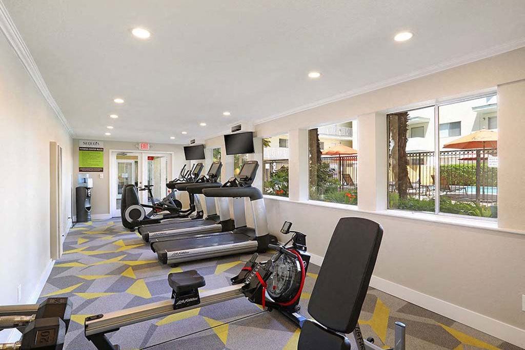 free weights in fitness center