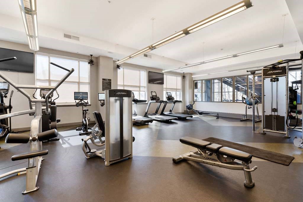 the gym is equipped with cardio equipment and weights