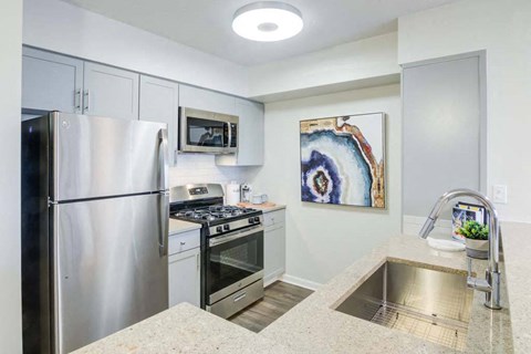 a kitchen with stainless steel appliances and a sink