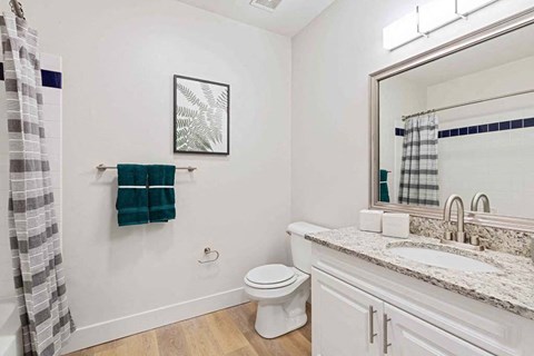 a bathroom with a sink and a toilet and a mirror