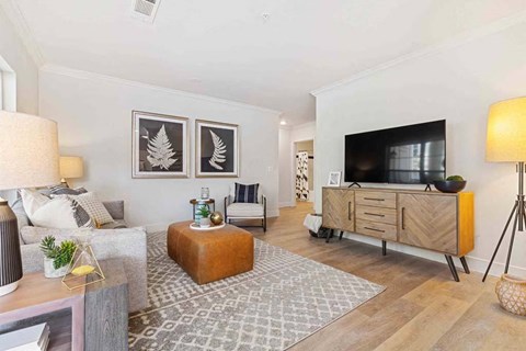 a living room with a couch and a tv