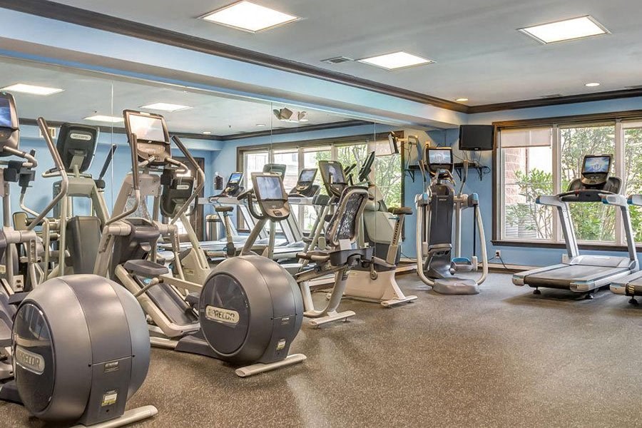 the gym is equipped with cardio equipment and weights