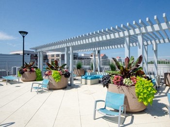 5500 Columbia Pike 1-2 Beds Apartment for Rent - Photo Gallery 3