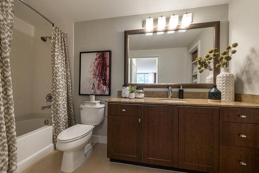 a bathroom with a toilet and a sink and a mirror