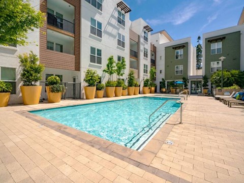 Sparkling Pool