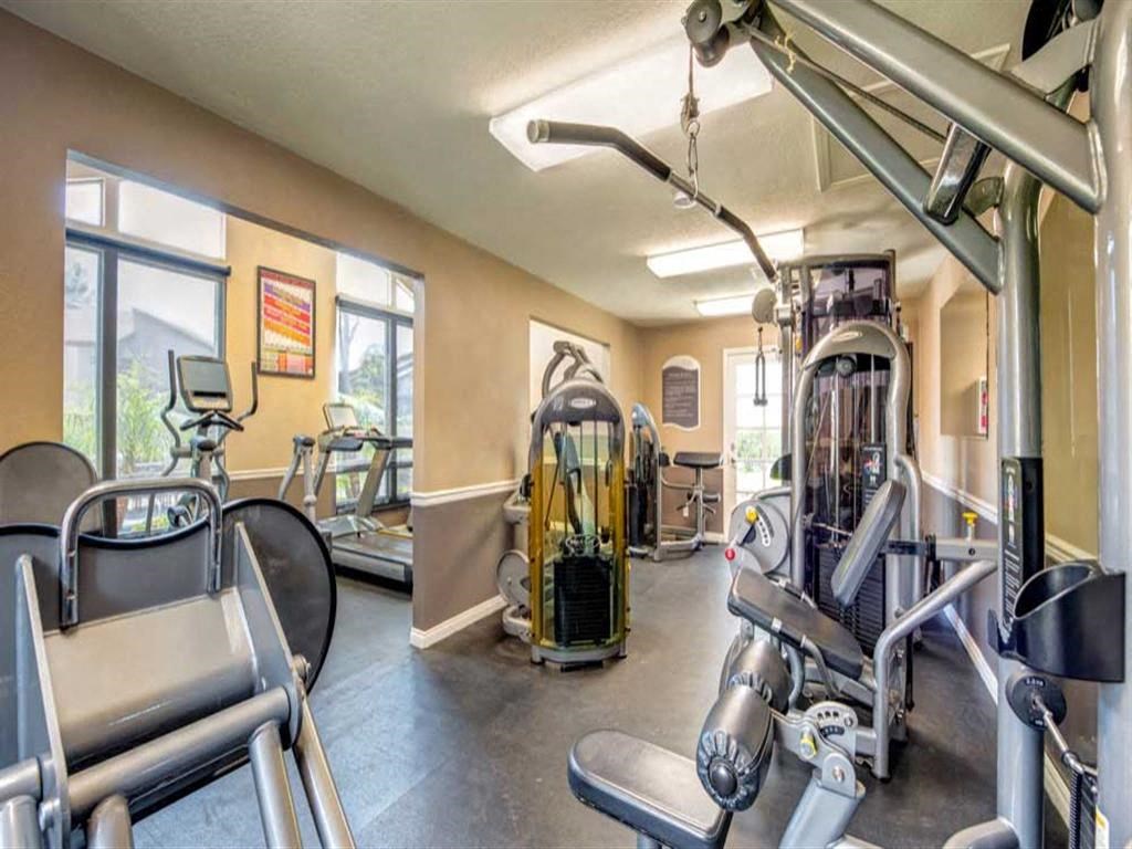 a gym with cardio machines and other exercise equipment