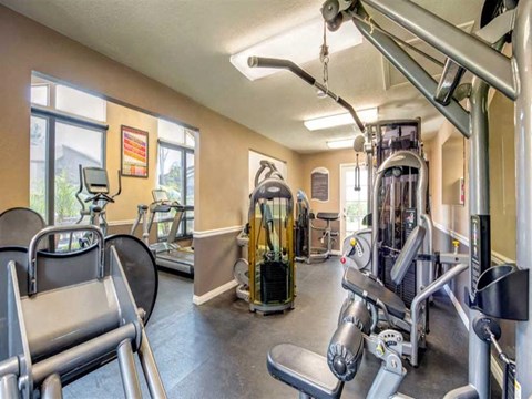 a gym with cardio machines and other exercise equipment