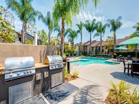 bbq grills next to a swimming pool with palm trees