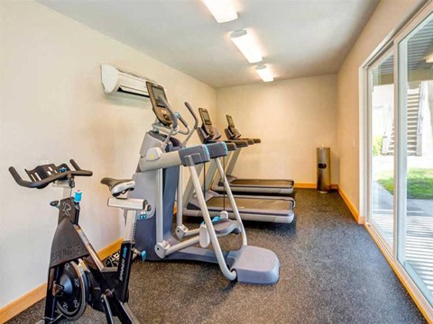 a gym with cardio equipment and a window