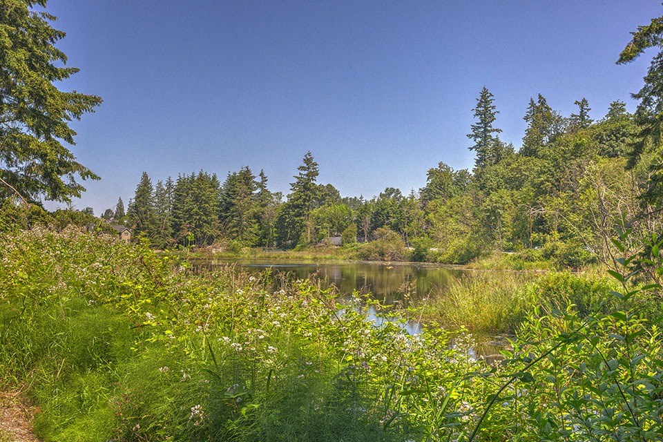 Lake View l Sofi Lakeside Apartments For Rent in Everett WA