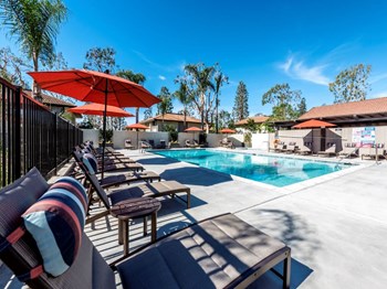 Pool - Photo Gallery 3
