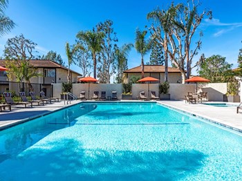Pool - Photo Gallery 2