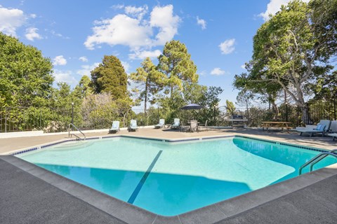 a swimming pool with trees in the background