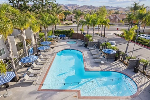 A heart-shaped pool is surrounded by palm trees and lounge chairs.