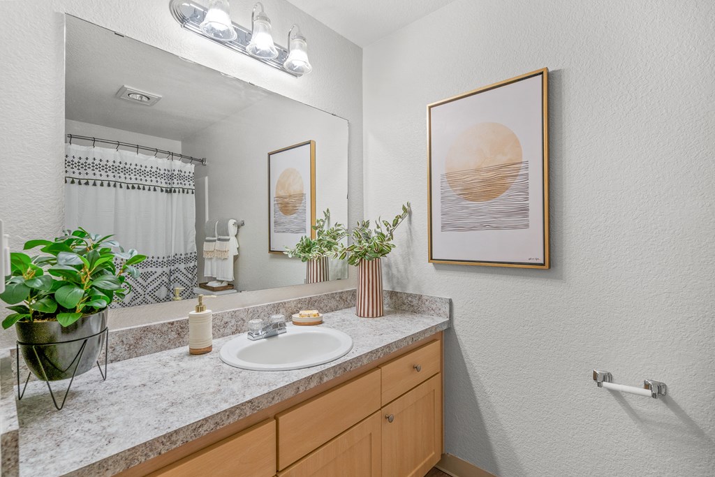 a bathroom with a sink and a mirror